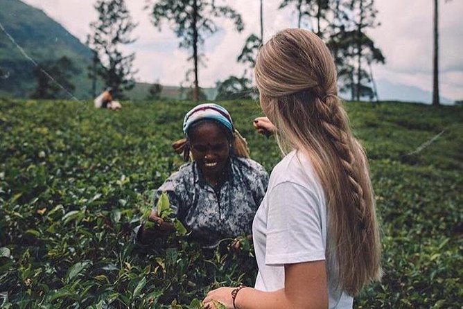 Kandy & Nuwara Eliya | 2 Days Tour - Inclusions