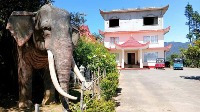 Kandy: Nuwara Eliya and Ambewela Train Station Tour - Key Points