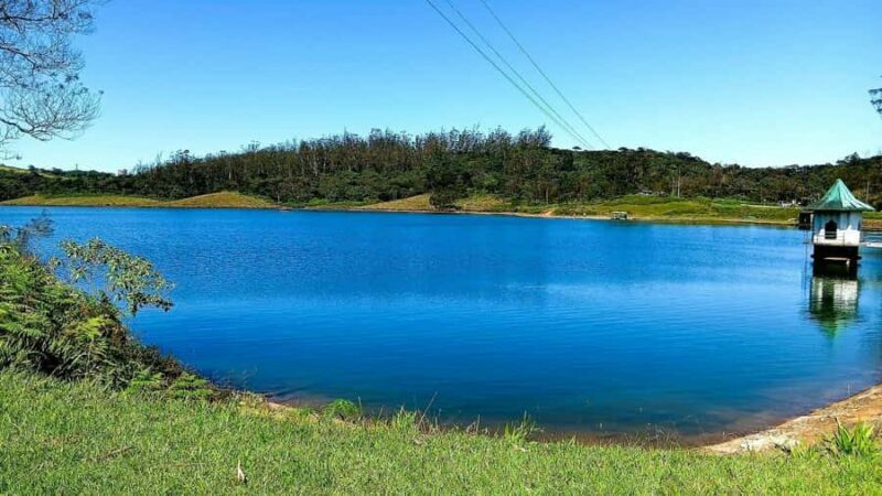 Kandy: Nuwara Eliya and Ambewela Train Station Tour - A Detailed Look at the Tour Experience