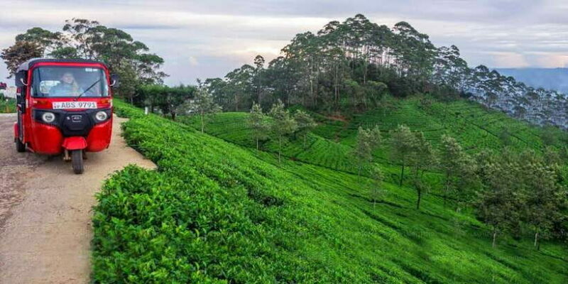 Kandy: Nuwara Eliya Day Trip - Exploring the Itinerary