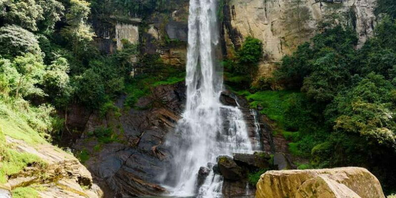 Kandy: Nuwara Eliya Day Trip - FAQ: Questions and Answers