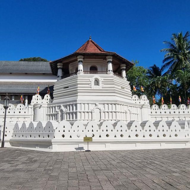 Kandy One Day Tour - Key Points