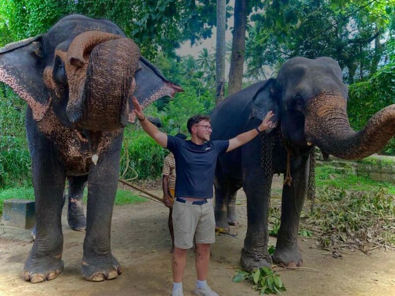 Kandy: Pinnawala & Ambuluwawa Tuk Tuk Adventure - Key Points