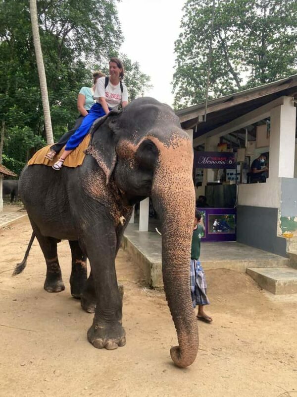 Kandy: Pinnawala & Ambuluwawa Tuk Tuk Adventure - Who Will Love This Tour?