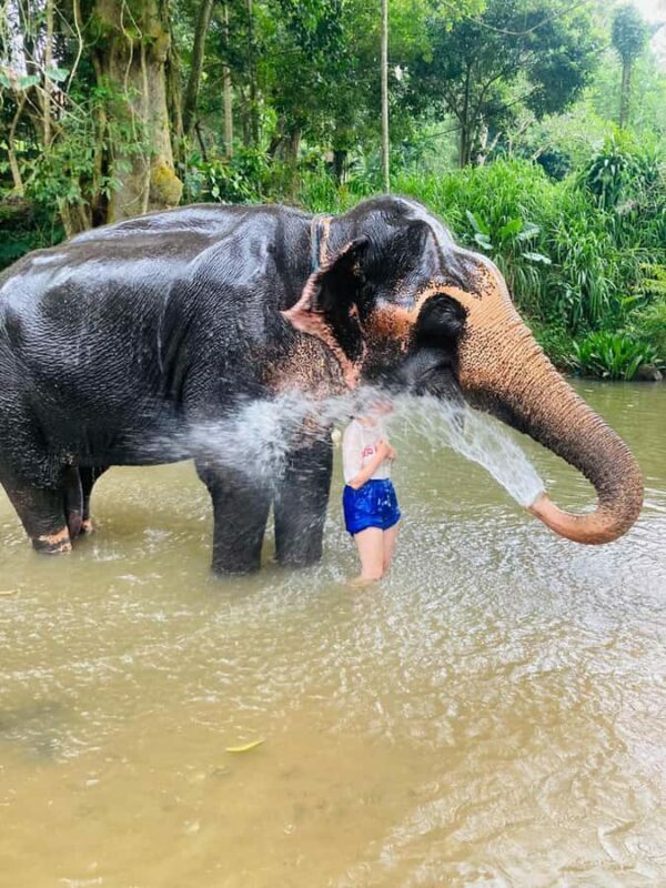 Kandy: Pinnawala & Ambuluwawa Tuk Tuk Adventure - FAQ