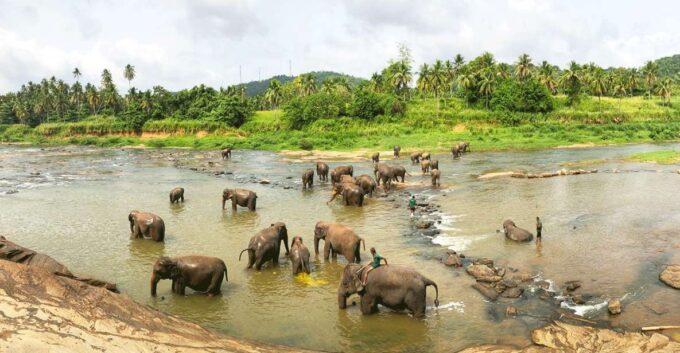 Kandy, Pinnawala Day Trip From Bentota, Kalutara Beach - Pickup and Drop-off Locations