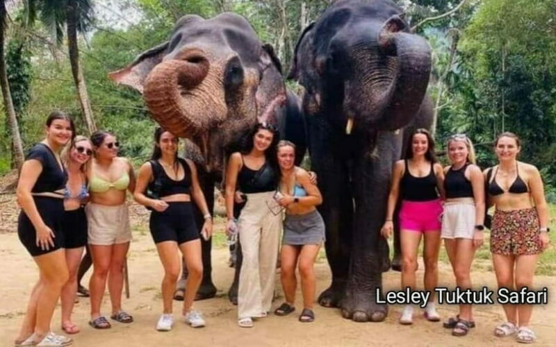 Kandy : Pinnawala Elephant Safari Tour with Kandy City Tour - What to Bring & Practical Tips