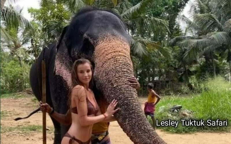 Kandy : Pinnawala Elephant Safari Tour with Kandy City Tour - Frequently Asked Questions