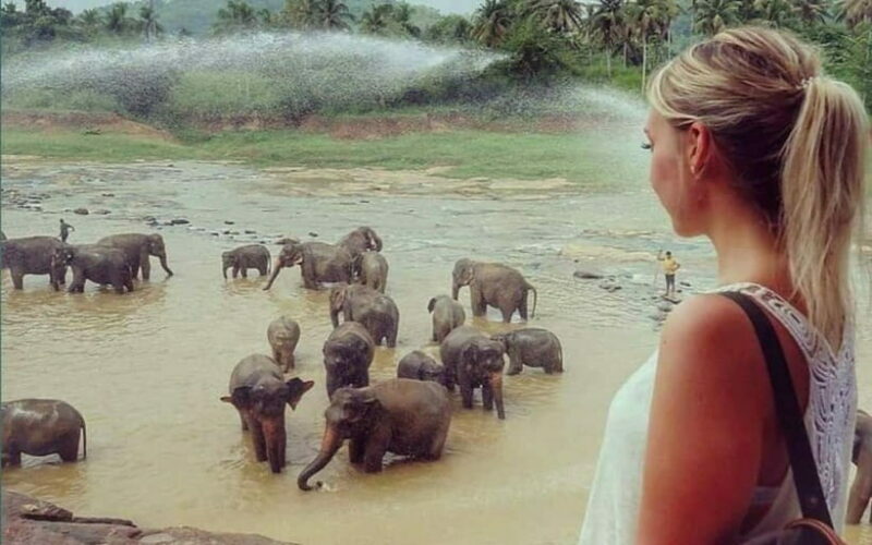 Kandy : Pinnawala Elephant Safari Tour with Kandy City Tour - Who Will Enjoy This Tour?