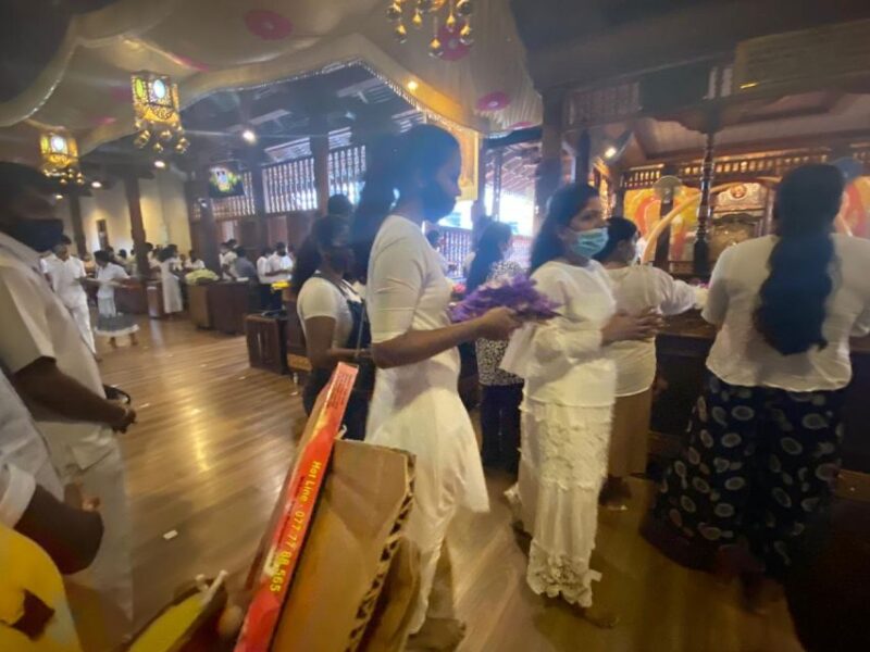 Kandy Pinnawala Full Day Tour From Bentota and Kalutara - Itinerary Highlights