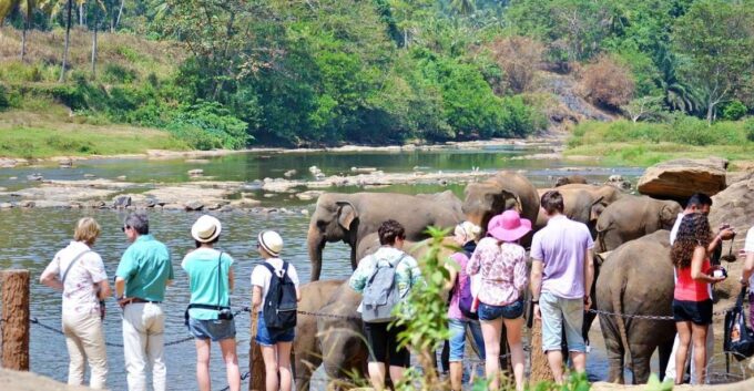 Kandy Pinnawala Full Day Tour From Bentota and Kalutara - Sacred Tooth Relic Temple