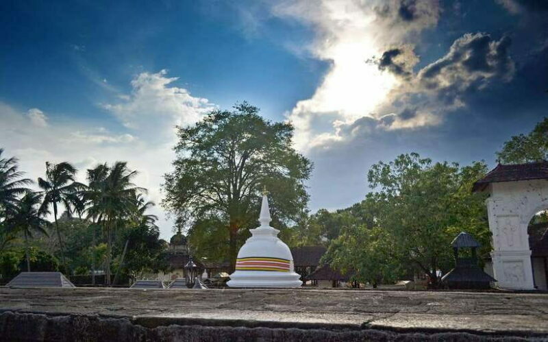 Kandy, Pinnawala Private Day Trip From The West Coast Beach - Final Thoughts: Is This Tour Right for You?