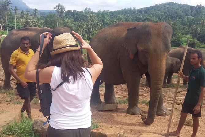 Kandy Private Day Tour - Inclusions