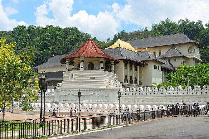 Kandy Private Day Tour - Accessibility