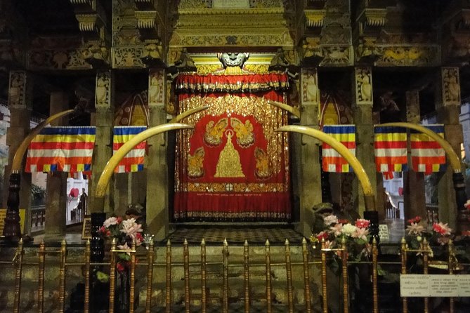 Kandy Private Day Tour - Reviews