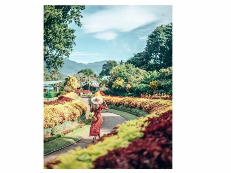 Kandy Private Guided City Day Tour by Local - Real Experiences from Reviewers