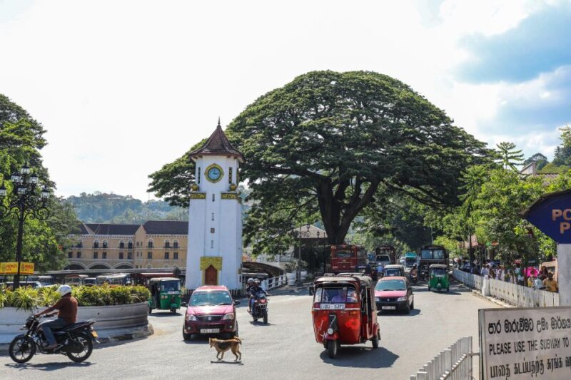 Kandy: Private Guided City Tours by Tuk Tuk Sightseeing Tour - Key Points