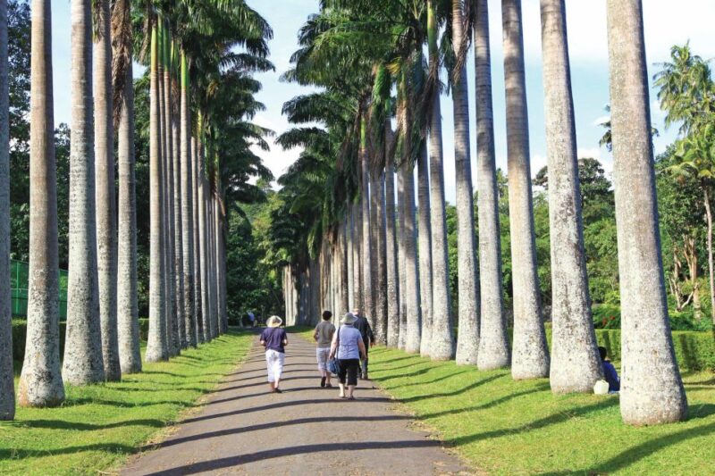 Kandy: Private Guided City Tours by Tuk Tuk Sightseeing Tour - Local Cuisine and Markets