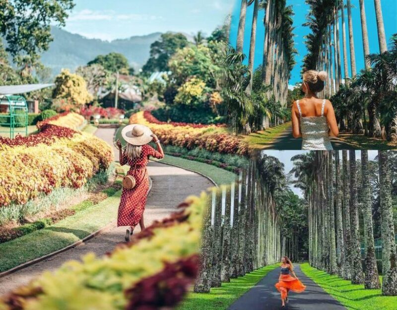 Kandy Royal Botanical Gardens Peradeniya By Tuk Sri Lanka - Key Points