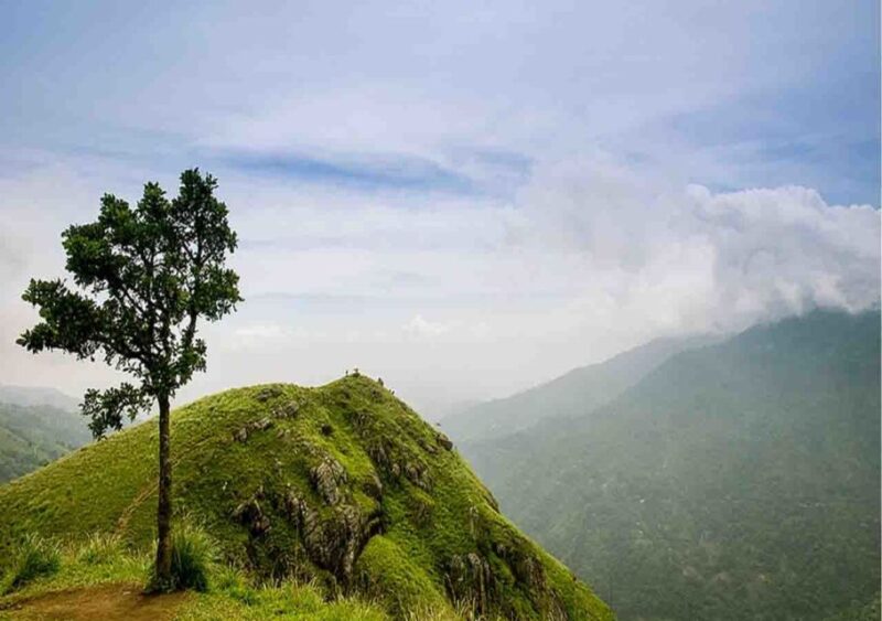 Kandy: Shanthipura and Nuwara Eliya - Key Points