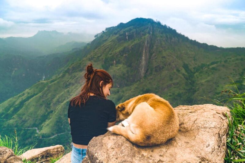 Kandy: Shanthipura and Nuwara Eliya - Itinerary Highlights
