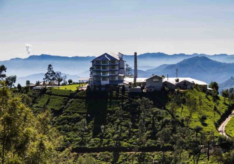 Kandy: Shanthipura and Nuwara Eliya - Mackwoods Labookellie Tea Factory