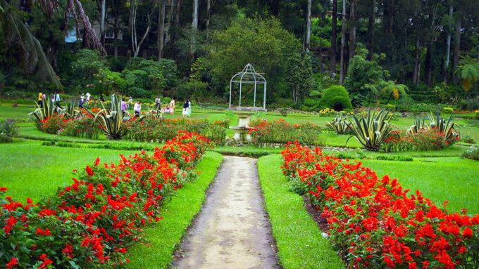 Kandy To Ambuluwawa Tower Day Tour - Sample Reviews
