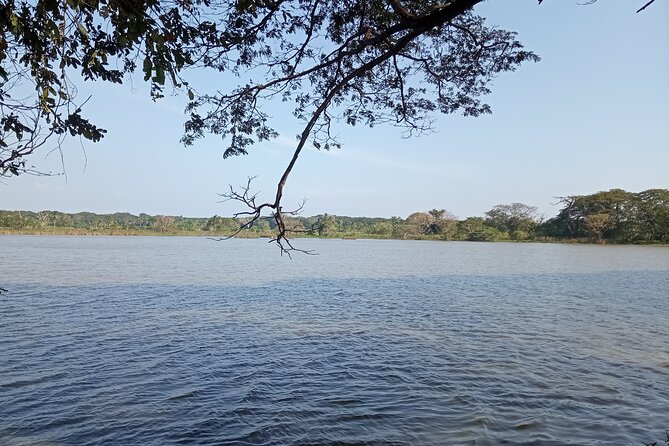 Kandy to Anuradhapura Tour - Good To Know