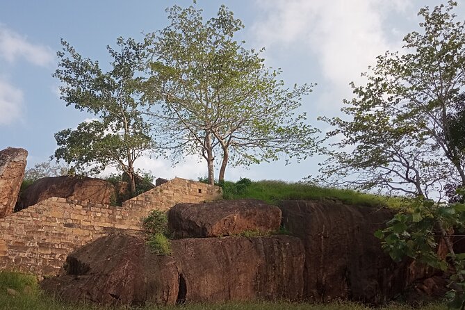 Kandy to Anuradhapura Tour - Included Services