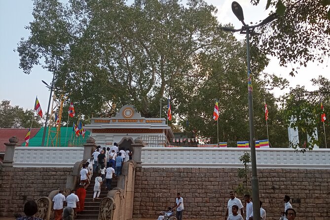 Kandy to Anuradhapura Tour - Accessibility and Participation