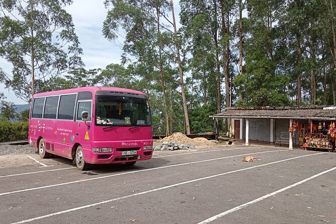 Kandy to Ella Day Tour - Discovering the Dambulla Cave Temples