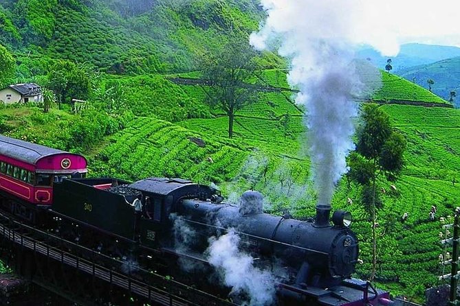 Kandy to Ella Train Tickets (2nd Class) - Positive Customer Experience