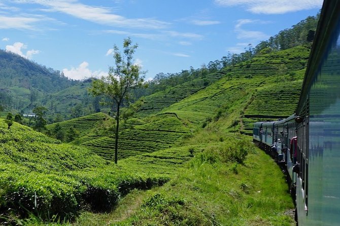 Kandy to Ella Train Tickets (2nd Class) - Operator Acknowledgement and Responses