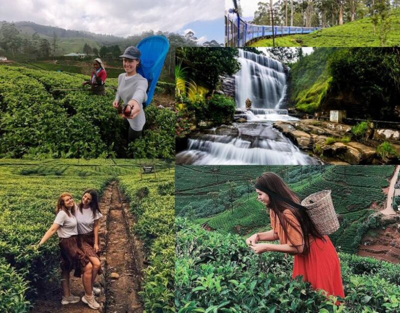 Kandy To Nuwara Eliya Day Tour By Tuk Tuk Sri Lanka - Seasonal Events and Attractions