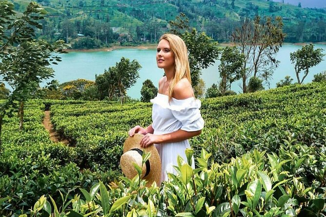 Kandy to Nuwara Eliya Day Tour - Nuwara Eliya Sights
