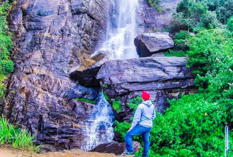 Kandy to Nuwara Eliya: Full Day Tour With Lunch - Key Points