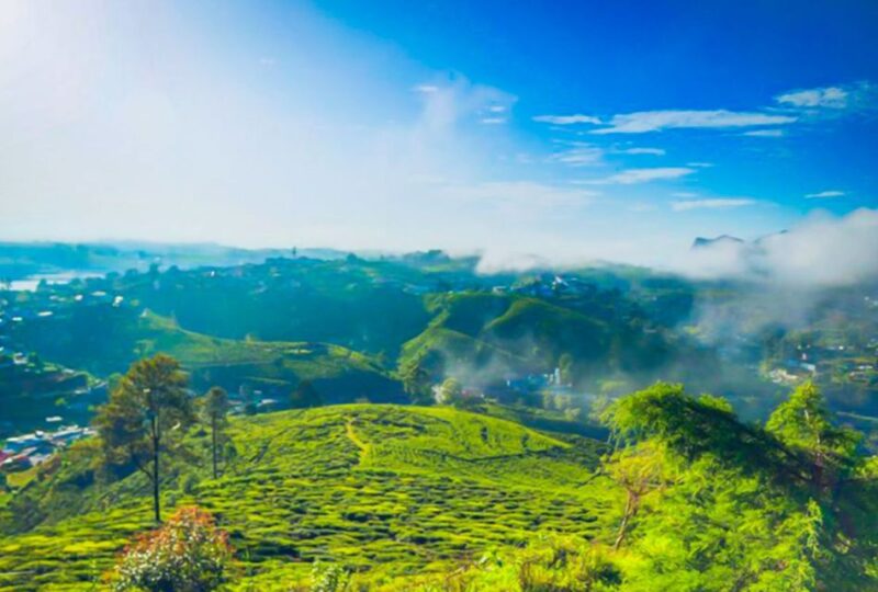 Kandy to Nuwara Eliya: Full Day Tour With Lunch - Itinerary Highlights