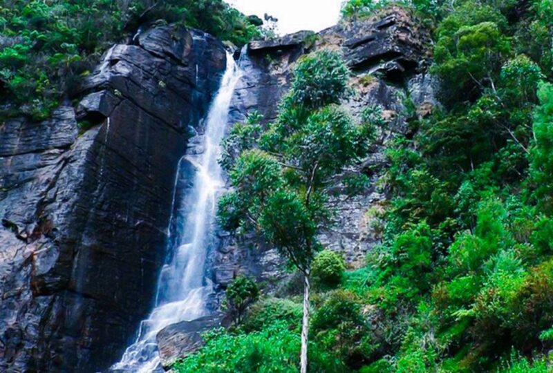 Kandy to Nuwara Eliya: Full Day Tour With Lunch - Frequently Asked Questions