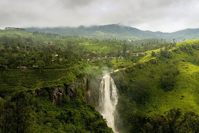 Kandy to Nuwara Eliya Private Day Tour - Glenloch Tea Factory