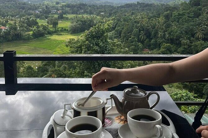 Kandy to Nuwara Eliya Private Day Tour: Tea Factory& Gregory Lake - An In-Depth Look at the Tour Experience