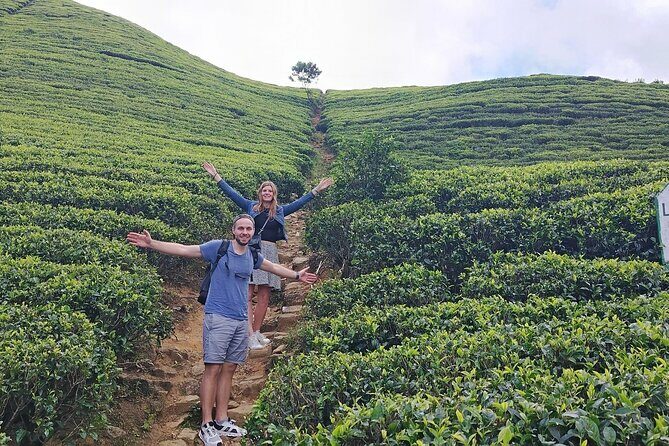 Kandy to Nuwara Eliya Private Day Tour: Tea Factory& Gregory Lake - Hakgala Botanical Gardens: A Botanical Delight