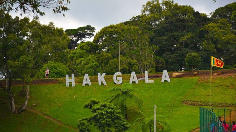 Kandy To Nuwara Eliya Return Tour By Tuk Day Tour - Tour Highlights and Itinerary