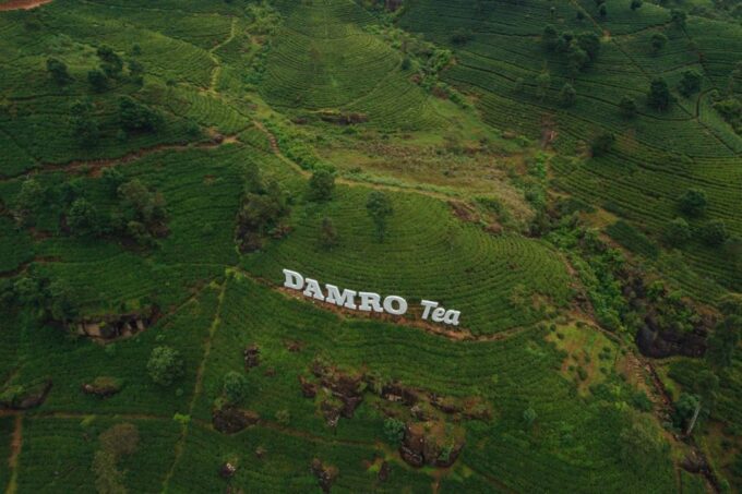 Kandy To Nuwara Eliya Return Tour By Tuk Day Tour - Frequently Asked Questions