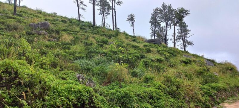 Kandy to Nuwaraeliya 3D Trekking Pekoe Trails Stage 1-2-&-3 - Key Points
