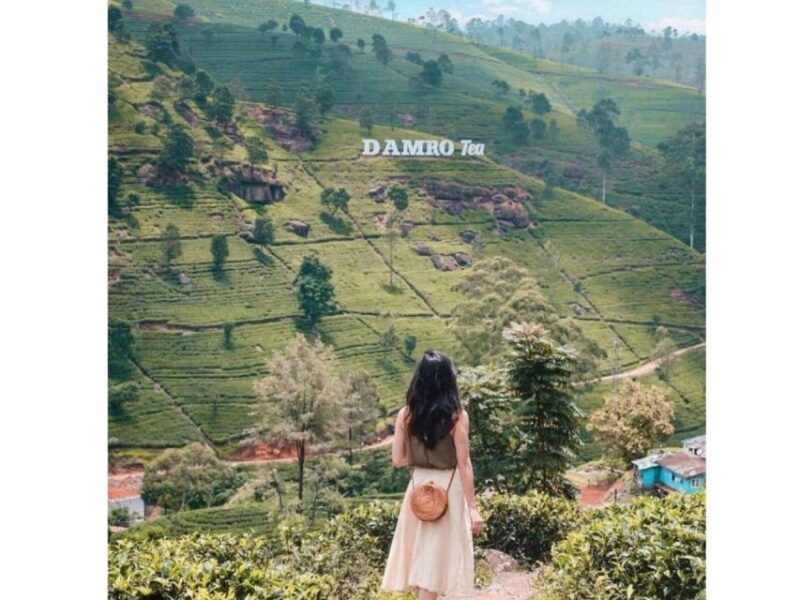 Kandy to Nuwaraeliya Drop Or Day Tour By Local Tuk Tuk - Pricing and Cancellation