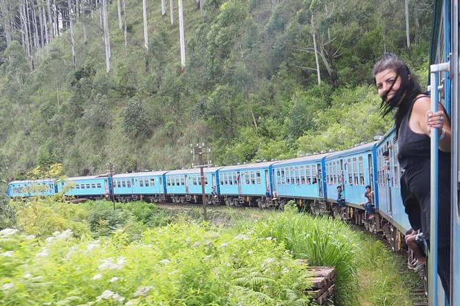 Kandy To Nuwaraeliya Scenic Train Ride and Nuwaraeliya City Tour And Drop Ella - Customer Reviews
