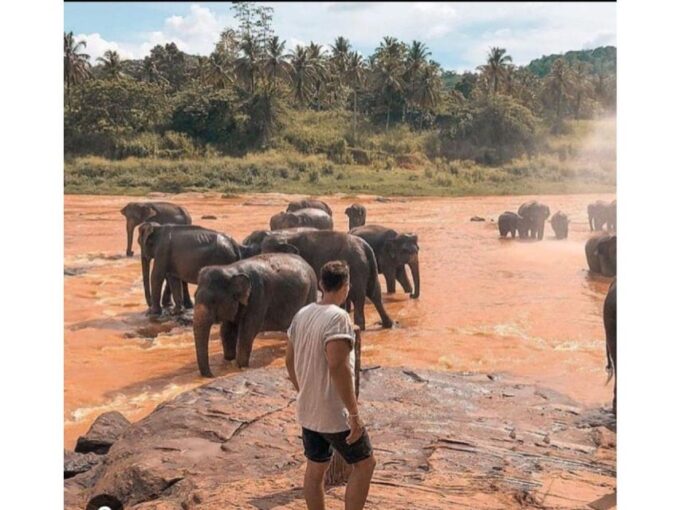 Kandy to Pinnawala Day Tour By Local Tuk Tuk Expedition - Inclusions, Exclusions, and Pricing