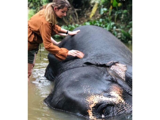 Kandy to Pinnawala Day Tour By Local Tuk Tuk Expedition - Customer Feedback and Experiences
