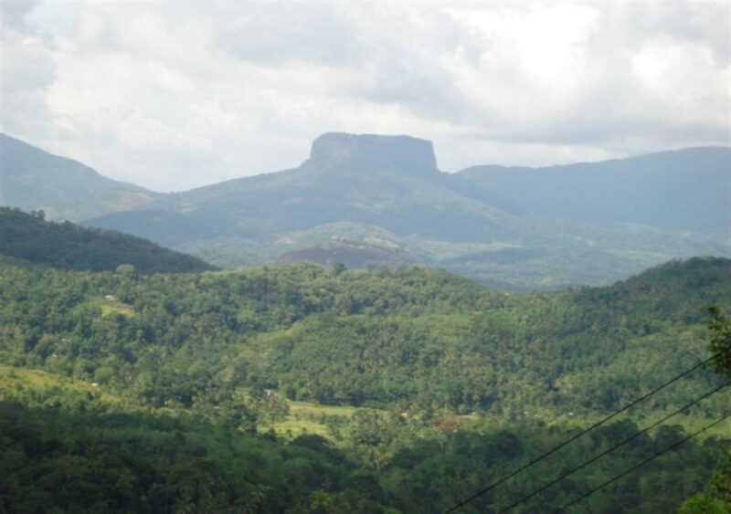 Kandy to Pinnawala With Recommended Guide by Tuk Tuk - Daily Timetable at Pinnawala