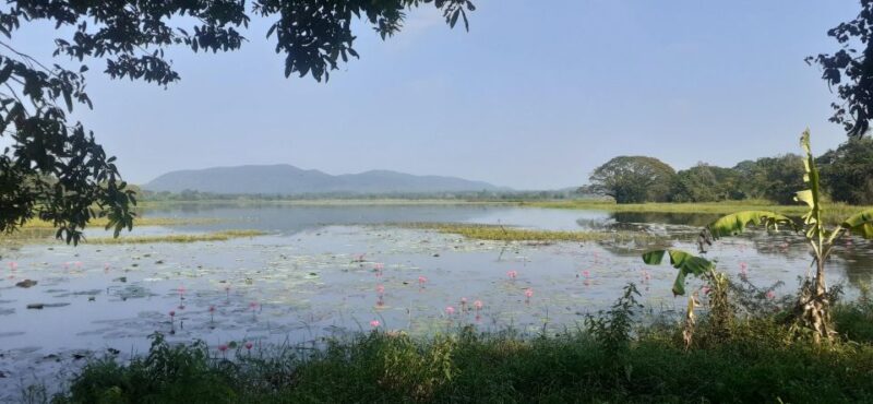 Kandy to Sigiriya Day Tour - Cancellation Policy